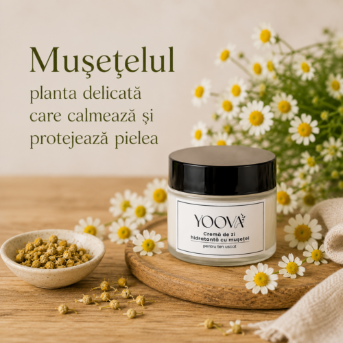 Mușețelul – planta delicată care calmează și protejează pielea