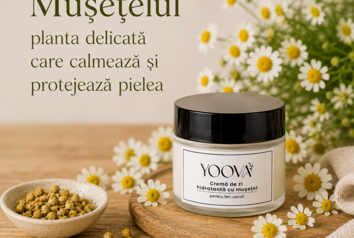 Mușețelul – planta delicată care calmează și protejează pielea